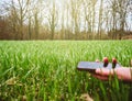 Woung agriculture woman biologist inspecting the harvest Royalty Free Stock Photo