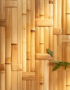 Woven Bamboo Panel Close Up with Leaf Detail in Warm Light Royalty Free Stock Photo