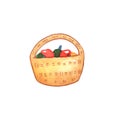 Woven basket with apples watercolor illustration on white background. Wooden braided basket with mushrooms