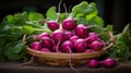 Woven basket filled with unique, colorful radishes Royalty Free Stock Photo