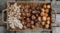 Woven basket filled with various edible mushrooms. Royalty Free Stock Photo