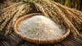 A woven basket filled with white rice, with stalks of rice on either side Royalty Free Stock Photo