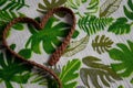 Woven brown belt as a heart on fabric painted with leaves. Top view