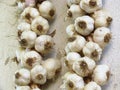Woven cloves of ripe organic garlic on white surface. Royalty Free Stock Photo