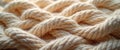 Woven fibers create neutral tone texture. Closeup view of intertwined ropes. Natural fibers create complex pattern. Beige color