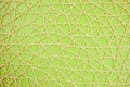 Woven mesh of artificial material on green background