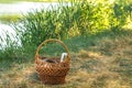 Woven vine basket, on the shores of lake on the green grass . with dishes for a picnic, in the summer clear day. Royalty Free Stock Photo