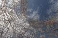 Woven wicker against sky. Abstract background.