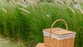 Woven wood picnic basket on small wooden table in park. Summer sunny day and picnic time concept Royalty Free Stock Photo