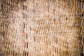 Woven wood texture background Royalty Free Stock Photo