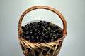 Woven wooden basket with a black large berry