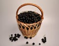 Woven wooden basket with a black large berry