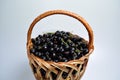 Woven wooden basket with a black large berry