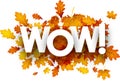 Autumn wow background with leaves. Royalty Free Stock Photo