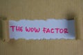 The Wow Factor Text written in torn paper Royalty Free Stock Photo