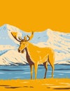 Moose or Elk in Denali National Park and Preserve or Mount McKinley In Alaska WPA Poster Art Royalty Free Stock Photo