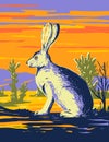 American Desert Hare in Joshua Tree National Park in the Mojave Desert California WPA Poster Art