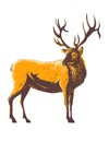 Elk Cervus Canadensis or Wapiti Viewed from Side WPA Poster Art