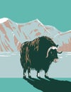 Muskox or Musk Ox in Winter in the Cape Krusenstern National Monument in Northwestern Alaska WPA Poster Art