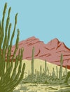 Organ Pipe Cactus National Monument and Biosphere Reserve Located in Arizona and the Mexican State of Sonora WPA Poster Art