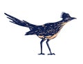 Roadrunner or Chaparral Bird Side View WPA Poster Art