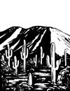 Wasson Peak in Tucson Mountain District of Saguaro National Park Arizona USA WPA Black and White Art