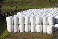 Wrapped bale silages Royalty Free Stock Photo