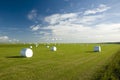 Wrapped bales