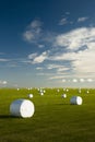 Wrapped bales on meadow