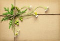 Wrapped box tied with daisy flowers thuja twigs and berries Royalty Free Stock Photo