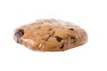 Wrapped Chocolate Chunk Cookie Royalty Free Stock Photo