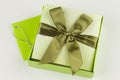 Wrapped gift box present Royalty Free Stock Photo
