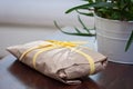 Wrapped gift parcel with yellow ribbon on a dark wooden table with a green aloe vera plant potted in a white metallic flowerpot Royalty Free Stock Photo