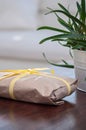 Wrapped gift parcel with yellow ribbon on a dark wooden table with a green aloe vera plant potted in a white metallic flowerpot Royalty Free Stock Photo