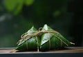 Wrapped Glutinous Rice with Green Leaves Triangular Zongzi Food Steamer Made of Bamboo on Selective Focus Background