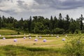 Wrapped hay bales in purple plastic on field