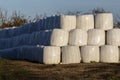 Wrapped hay rolls in stockpile. Royalty Free Stock Photo