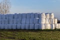 Wrapped hay rolls in stockpile. Royalty Free Stock Photo