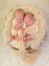 Wrapped identical twins Royalty Free Stock Photo