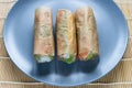 Wrapped Nem Cuon, Vietnamese cold rolls close up Royalty Free Stock Photo