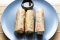 Wrapped Nem Cuon Vietnamese fresh rolls close up Royalty Free Stock Photo