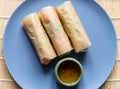 Wrapped Nem Cuon, Vietnamese fresh spring rolls Royalty Free Stock Photo
