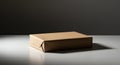 Wrapped Parcel, Tan Paper, on a White Surface with Dark Gray Background Royalty Free Stock Photo