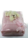 Wrapped pink blanket with puppet dog