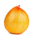 Wrapped ripe pomelo