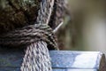 Wrapped rope on the old wood in the forest. Royalty Free Stock Photo