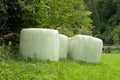 Wrapped silage bales in an alpine meadow, hay bales Royalty Free Stock Photo