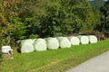 Wrapped silage bales in an alpine meadow, hay bales Royalty Free Stock Photo