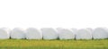 Wrapped stacked silage bales row, isolated round white plastic film hay rolls, haylage stack rows panorama, horizontal grassland Royalty Free Stock Photo