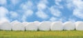Wrapped stacked silage bales row, isolated round white plastic film hay rolls, haylage stack rows panorama, horizontal grassland Royalty Free Stock Photo